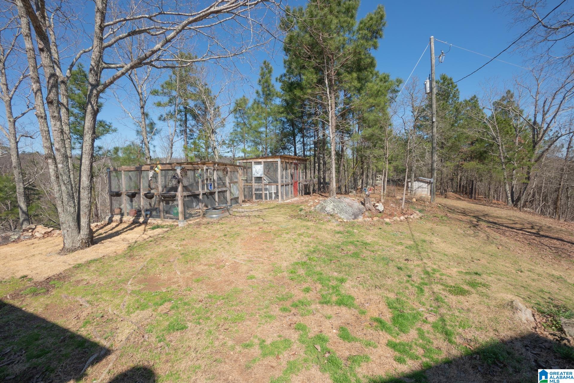 1840 Signal Valley Trail Chelsea, AL 35043 - Photo 6 of 49