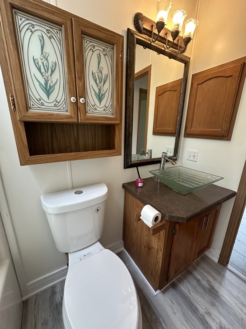 252 Blackthorn Road Matteson, IL 60443 - Photo 17 of 29 Gallery Image 17