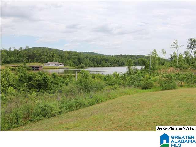169 Eagle Cove Road Ohatchee, AL 36271 - Photo 10 of 32