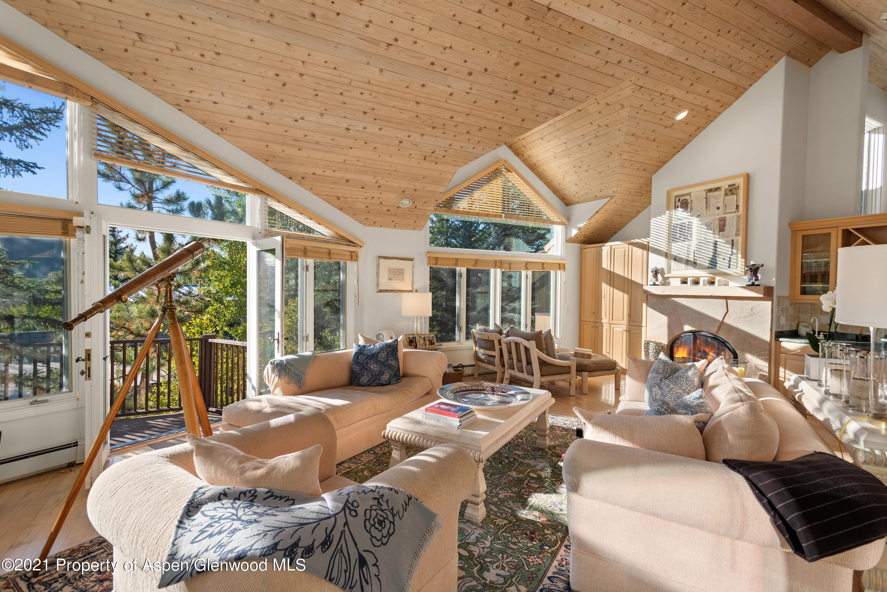 1245 Riverside Drive Aspen, CO 81611 - Photo 5 of 25 1245Riverside_HiRes21091716