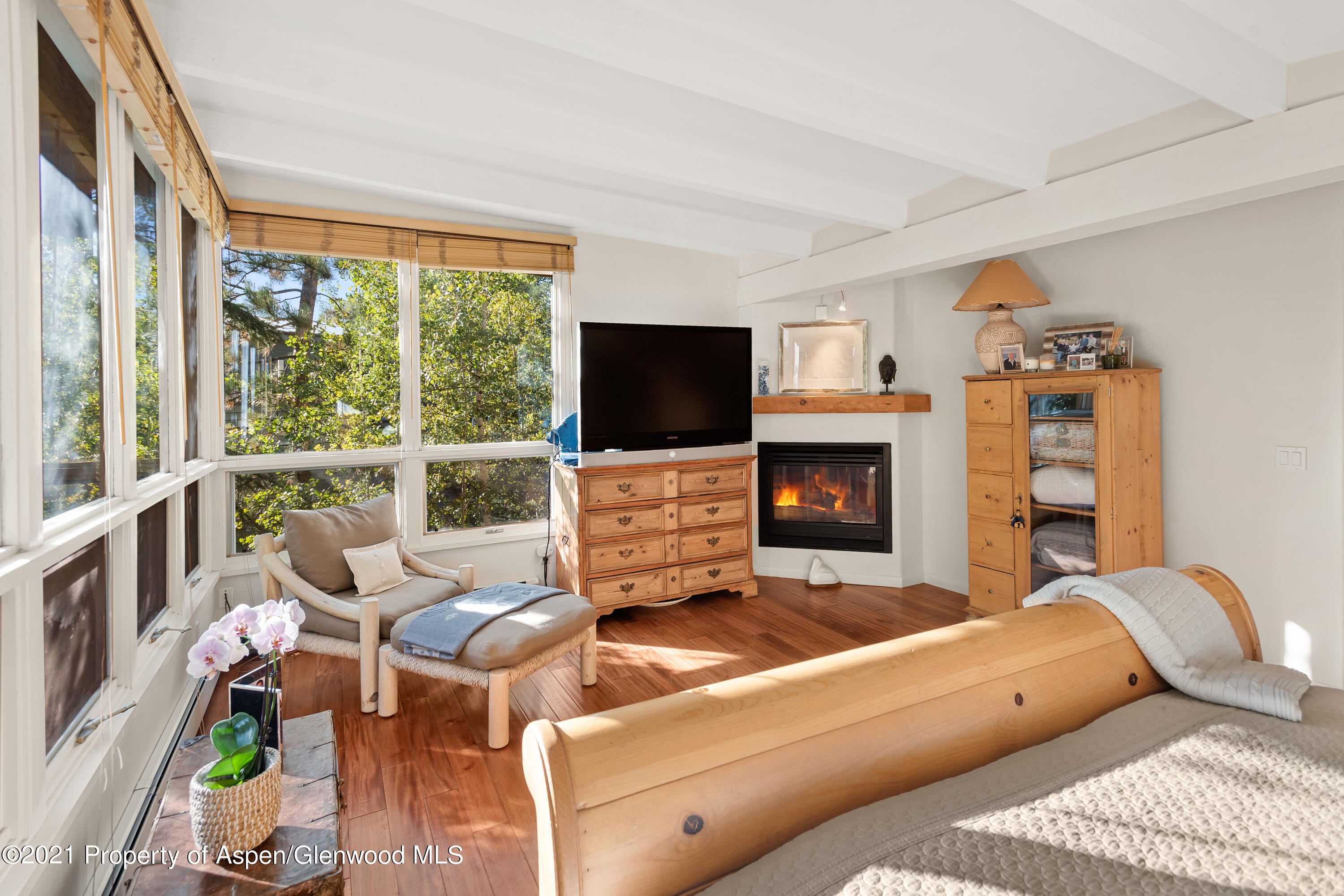 1245 Riverside Drive Aspen, CO 81611 - Photo 10 of 25 1245Riverside_HiRes21091724