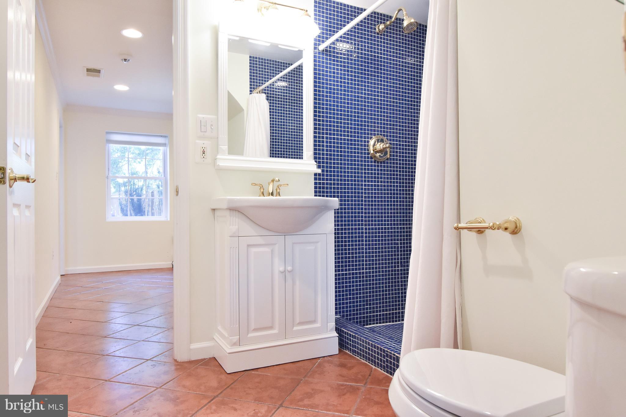 3302 Spring Lane Falls Church, VA 22041 - Photo 25 of 30 a bathroom with a sink a toilet and shower