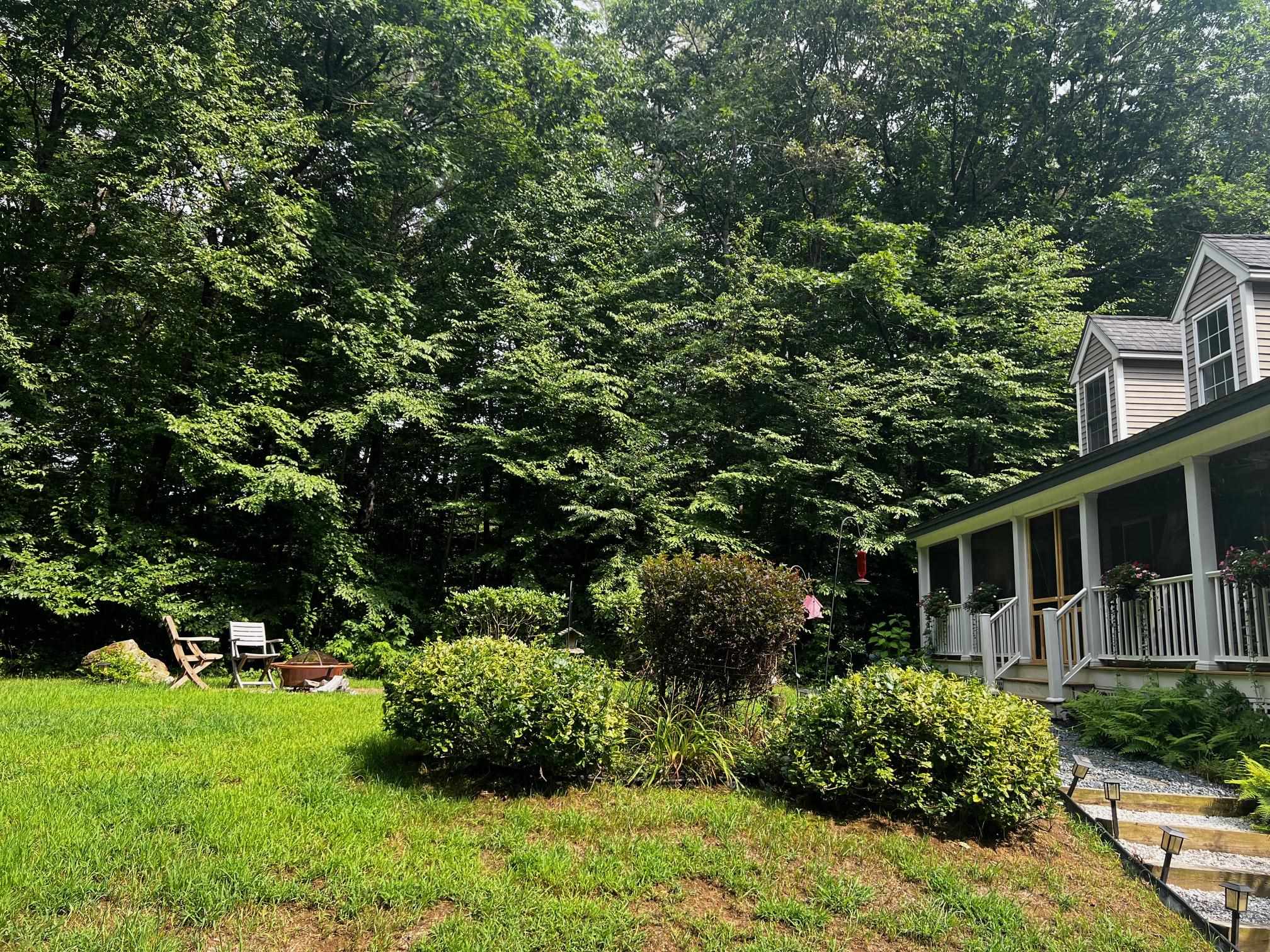 37 Forest Road Barnstead, NH 03225 - Photo 2 of 25