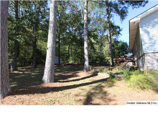 1028 Old Mill Road Anniston, AL 36207 - Photo 27 of 28