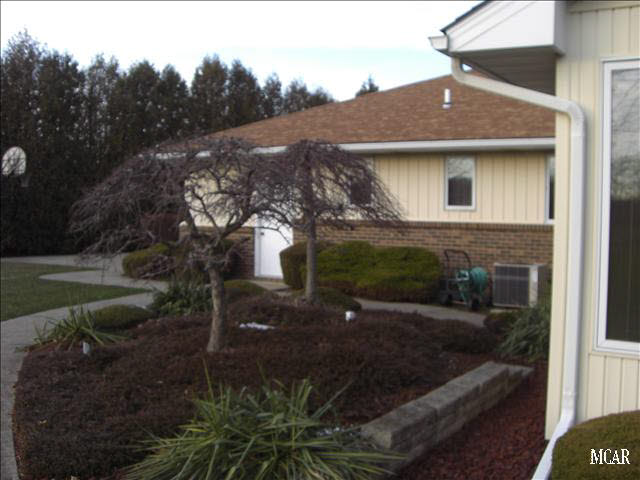 FLOWERING BUSHES