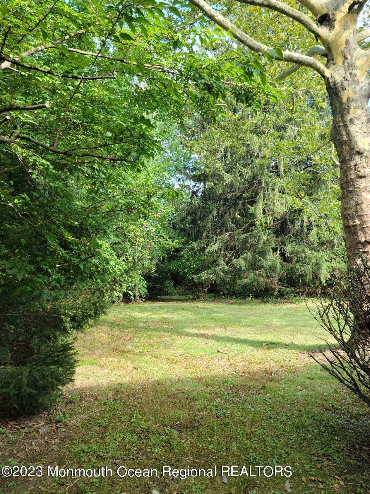 289 Broad Street Matawan, NJ 07747 - Photo 22 of 23 BACKYARD 2