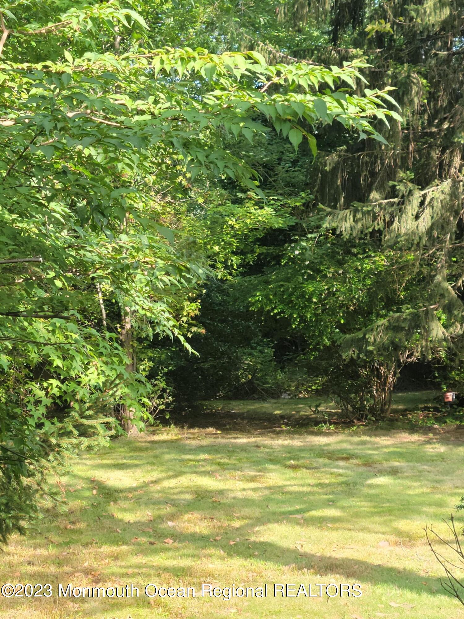 289 Broad Street Matawan, NJ 07747 - Photo 23 of 23 BACKYARD 4