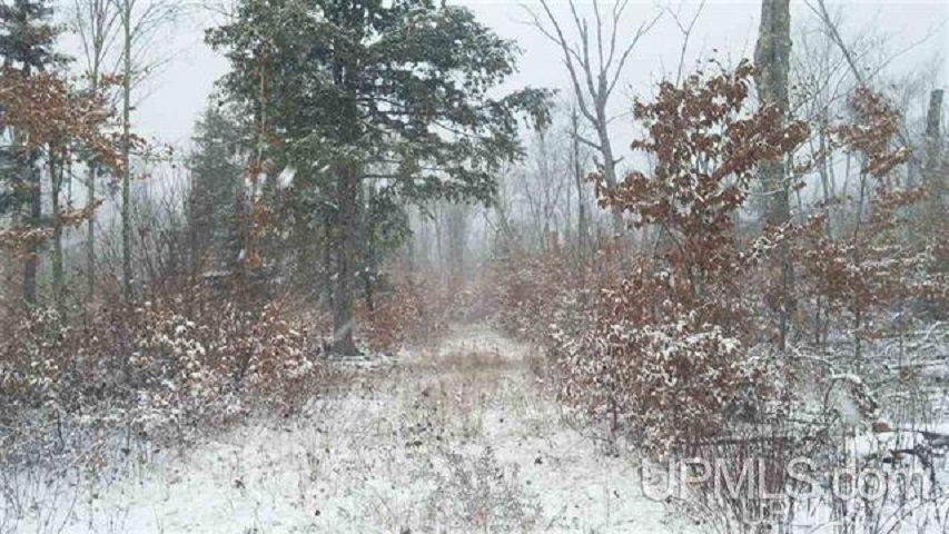 1787 Co Road Shingleton, MI 49884 - Photo 3 of 4