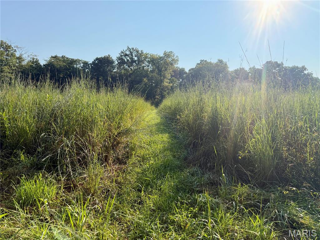 0 County Road Strasburg, IL 62465 - Photo 33 of 97 Gallery Image 33
