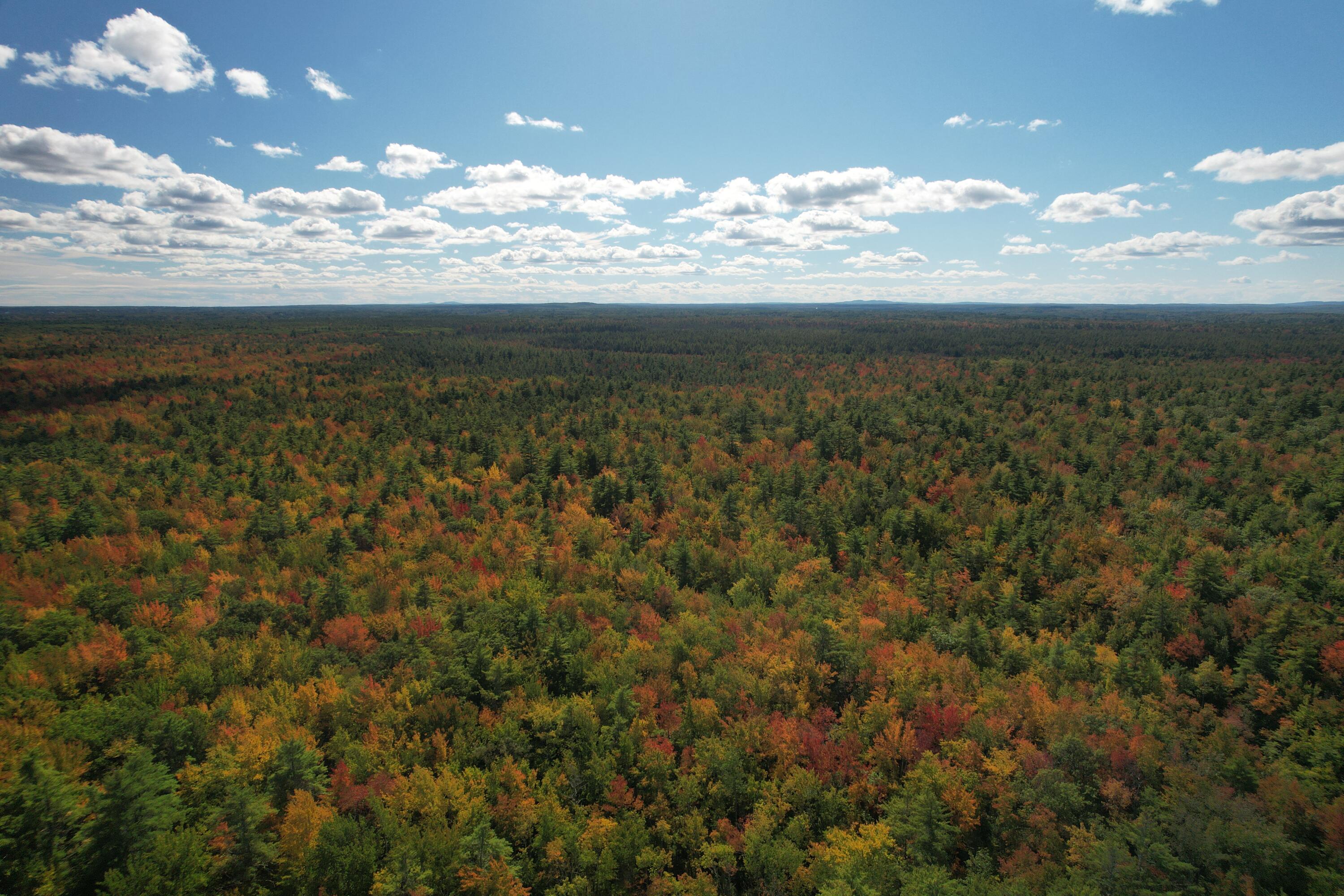 20 Spring Road Saco, ME 04072 - Photo 52 of 55 DJI_0865