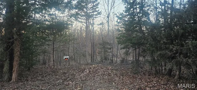 $32,000 | 0 Cr 3273 Unincorporated Mo 65560, Salem, MO 65560