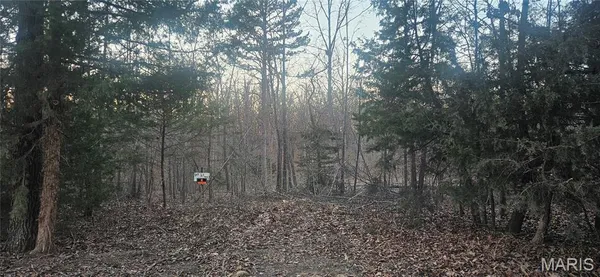 $32,000 | 0 Cr 3273 Unincorporated Mo 65560, Salem, MO 65560