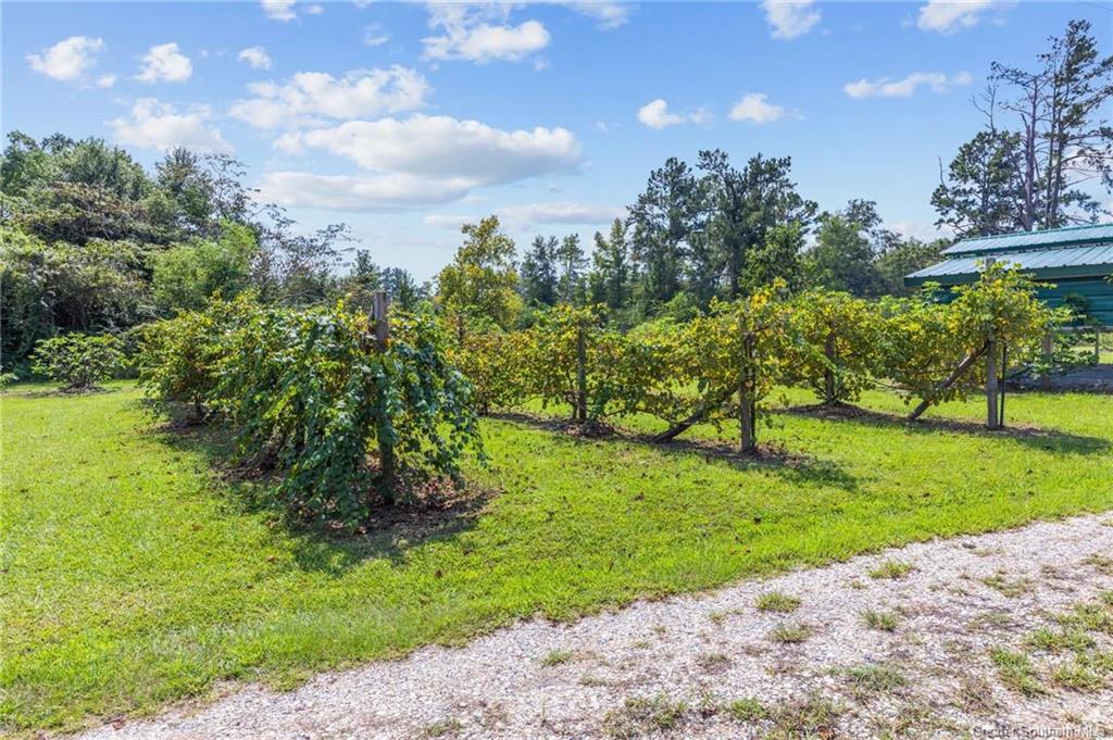 167 Fletcher Road Longville, LA 70652 - Photo 2 of 21 Gallery Image 2