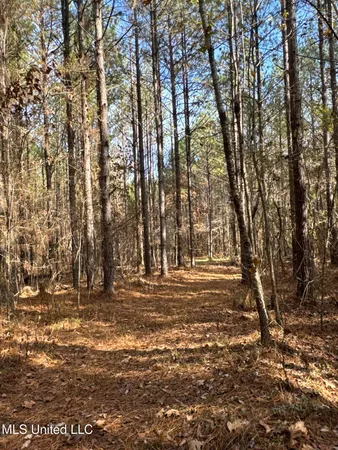 $368,125 | 1 Whiddon Road, Canton, MS 39046