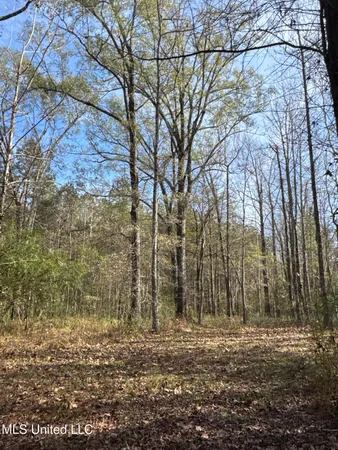 $368,125 | 1 Whiddon Road, Canton, MS 39046