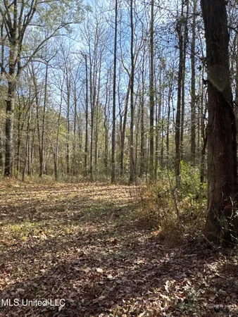 $368,125 | 1 Whiddon Road, Canton, MS 39046