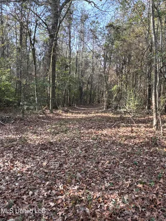 $368,125 | 1 Whiddon Road, Canton, MS 39046