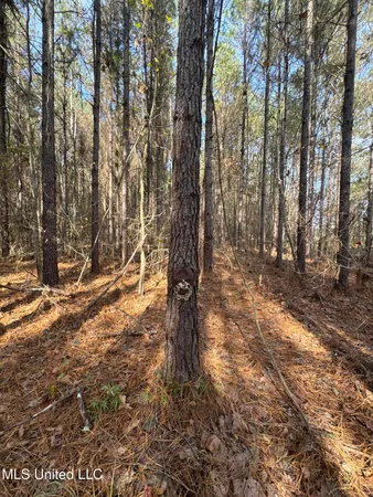 $368,125 | 1 Whiddon Road, Canton, MS 39046