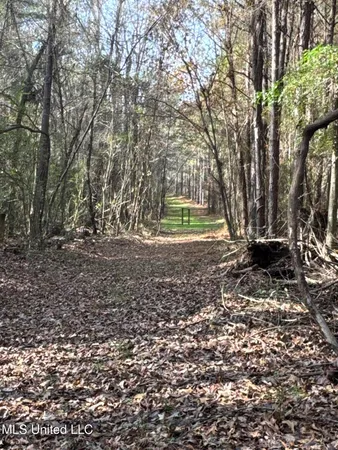 $368,125 | 1 Whiddon Road, Canton, MS 39046