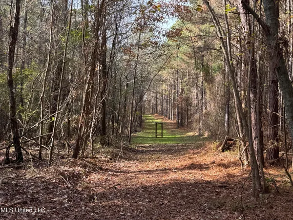 $368,125 | 1 Whiddon Road, Canton, MS 39046
