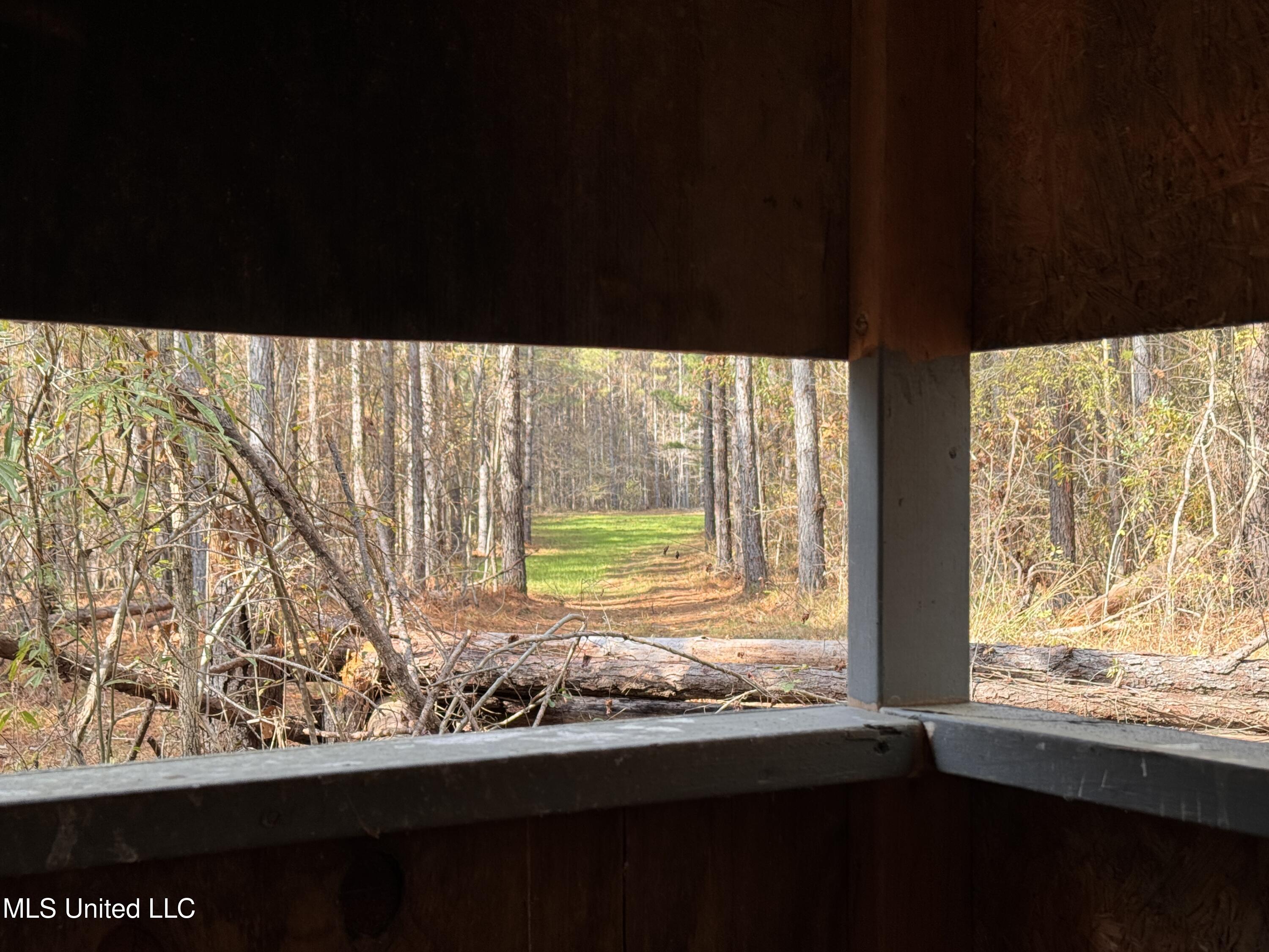 1 Whiddon Road Canton, MS 39046 - Photo 24 of 45 IMG_1631