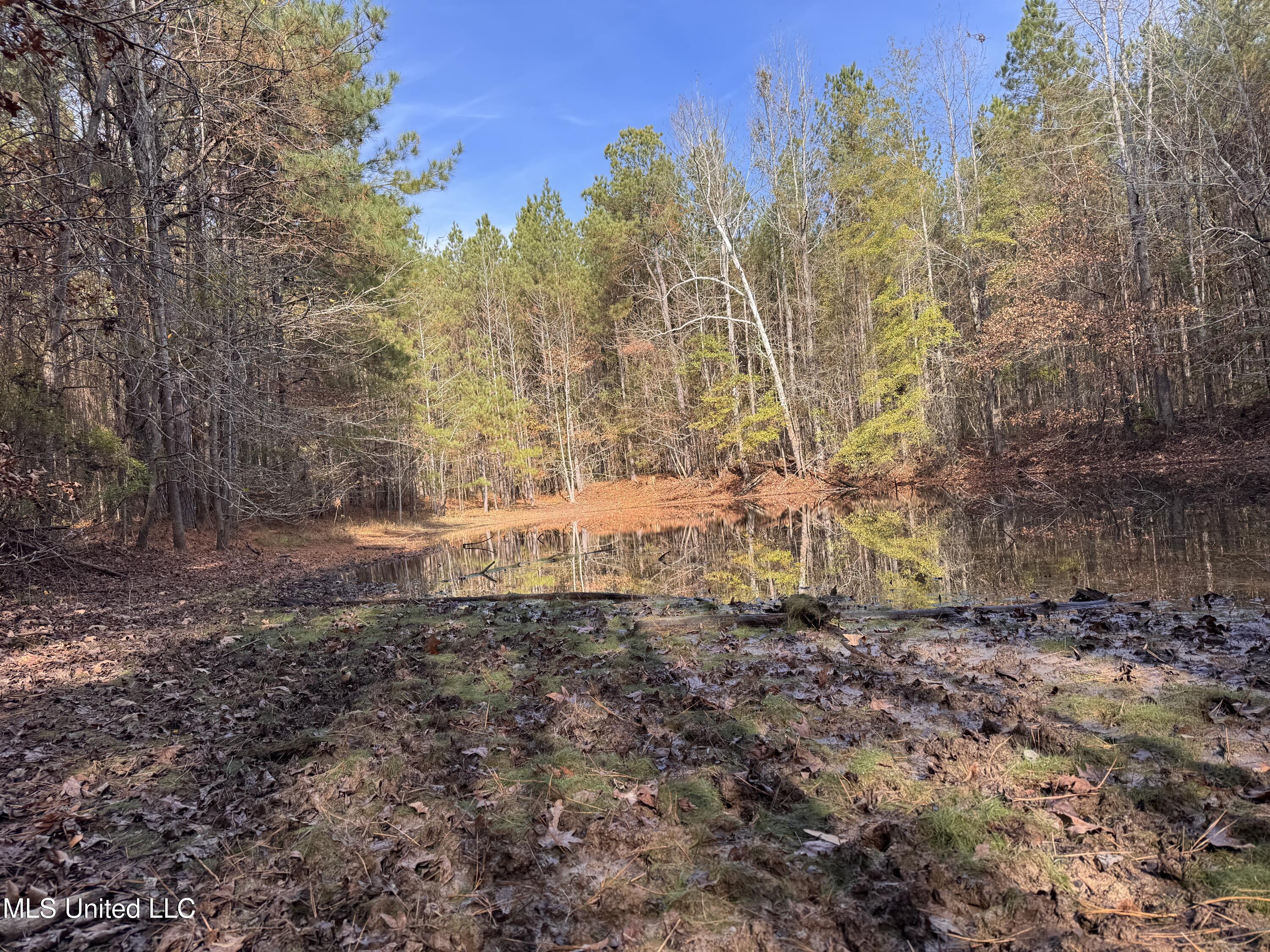 1 Whiddon Road Canton, MS 39046 - Photo 27 of 45 IMG_1638