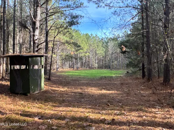 $368,125 | 1 Whiddon Road, Canton, MS 39046