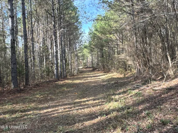 $368,125 | 1 Whiddon Road, Canton, MS 39046