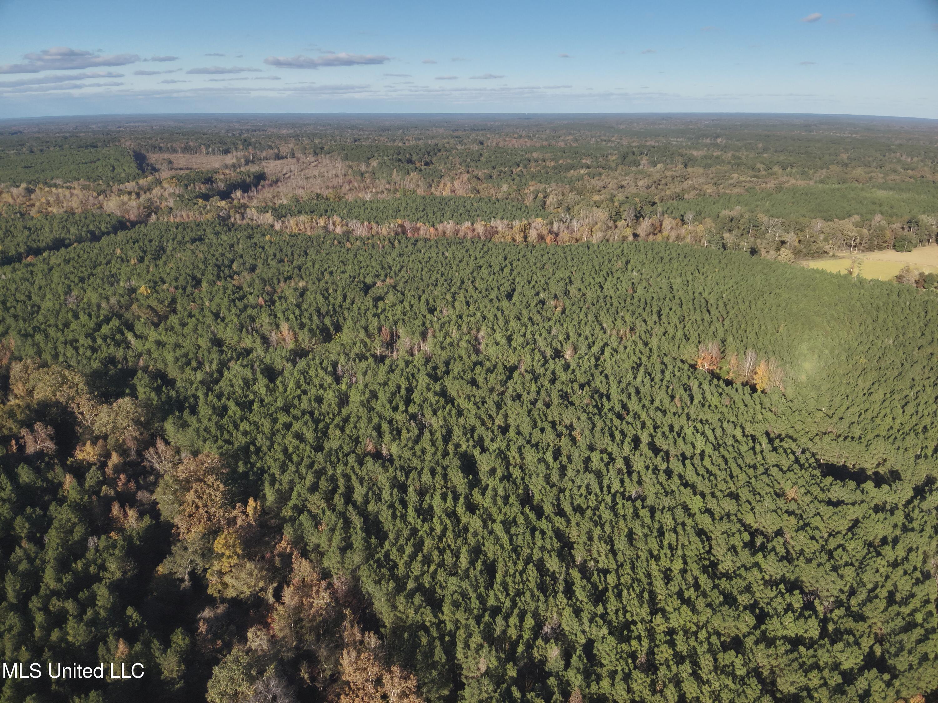 1 Whiddon Road Canton, MS 39046 - Photo 40 of 45 DJI_20251109151940_0010_V