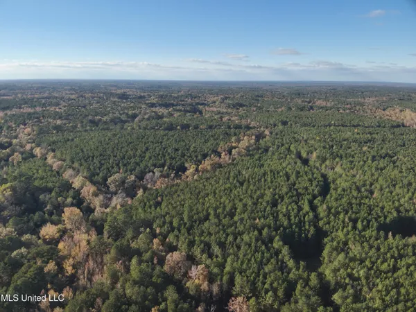 $368,125 | 1 Whiddon Road, Canton, MS 39046