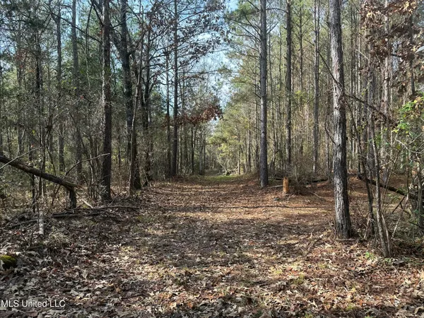 $368,125 | 1 Whiddon Road, Canton, MS 39046