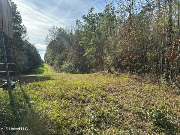 $368,125 | 1 Whiddon Road, Canton, MS 39046