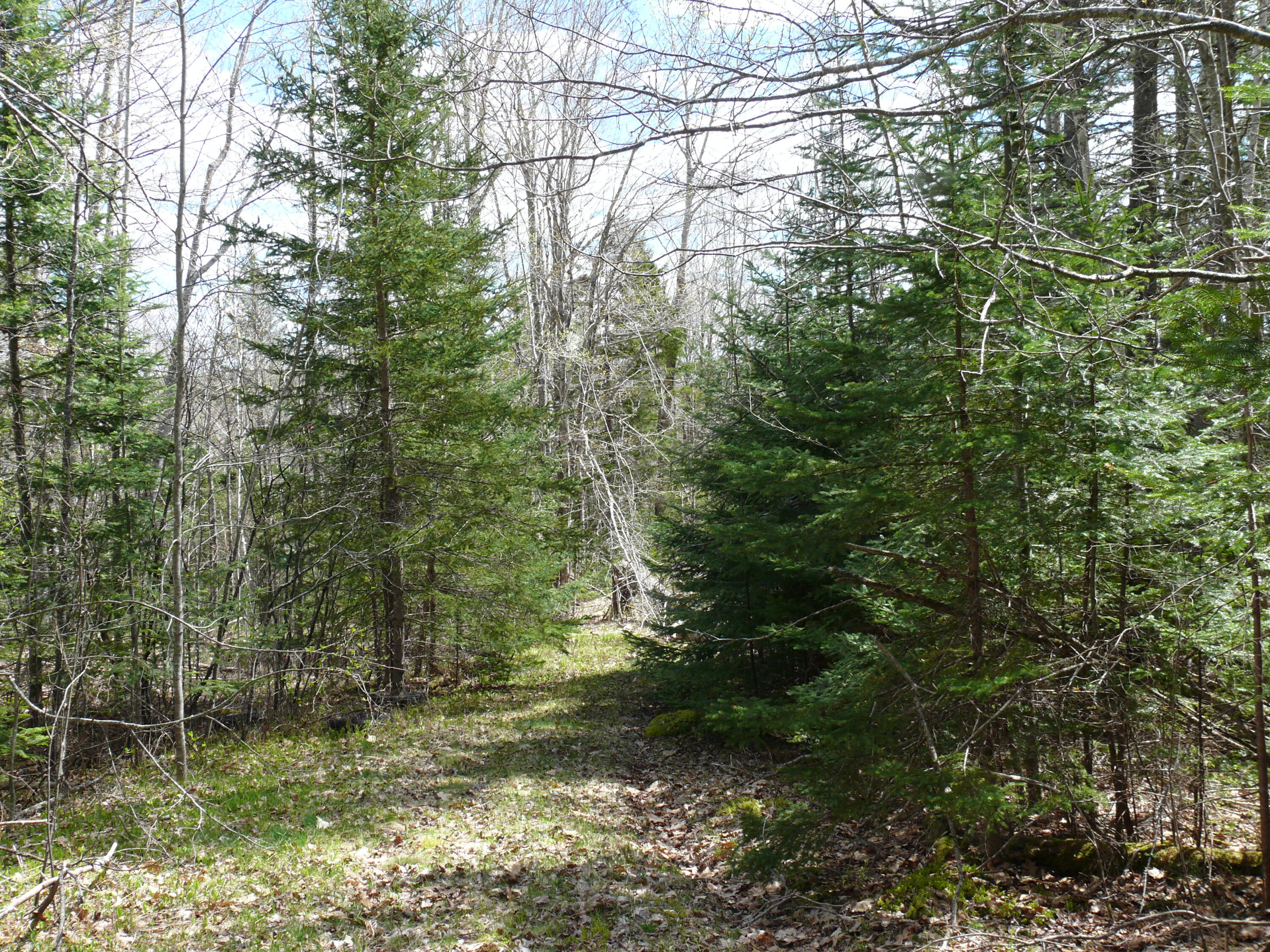 25 Epping Road Columbia Falls, ME 04623 - Photo 21 of 39 P1420397