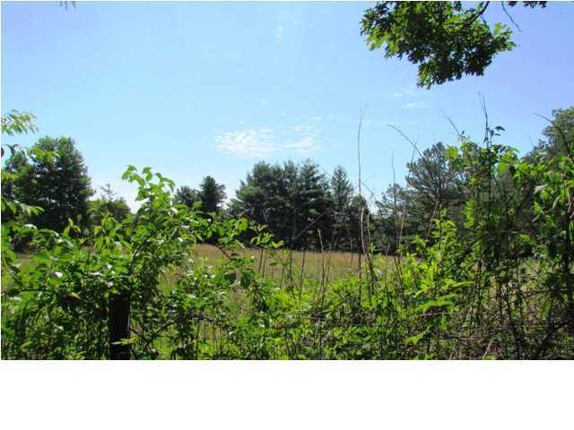 3062 Miller Cove Road Signal Mountain, TN 37377 - Photo 3 of 21 Additional Photo