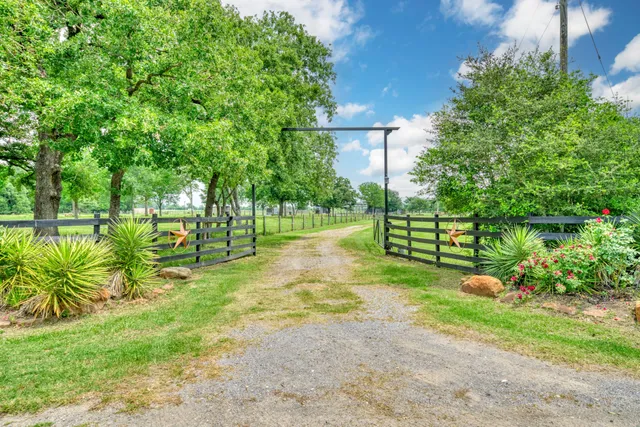 a view of a park with plants and a bench
