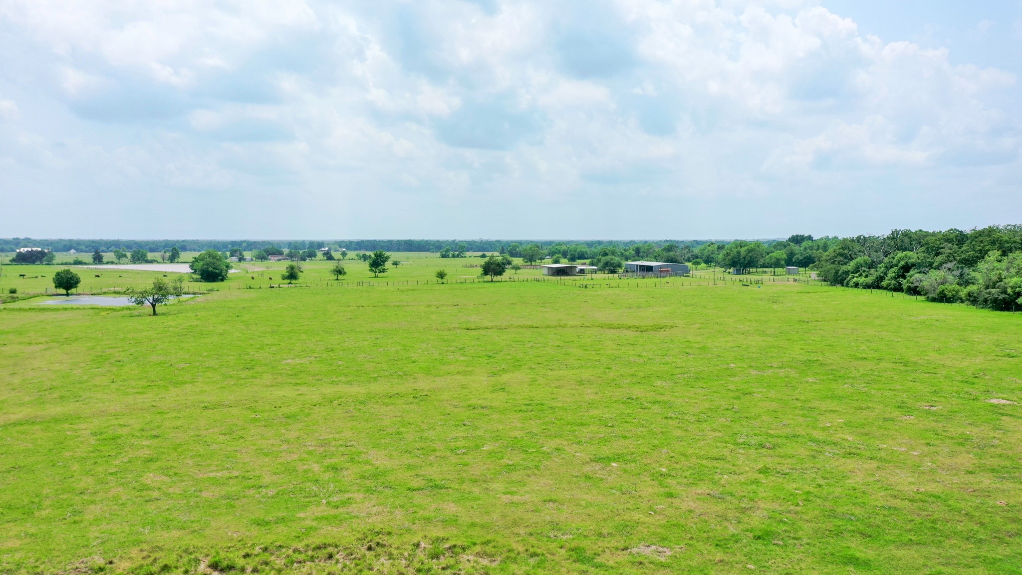 2266 Dutton Lane Madisonville, TX 77864 - Photo 35 of 50 a view of an ocean and beach