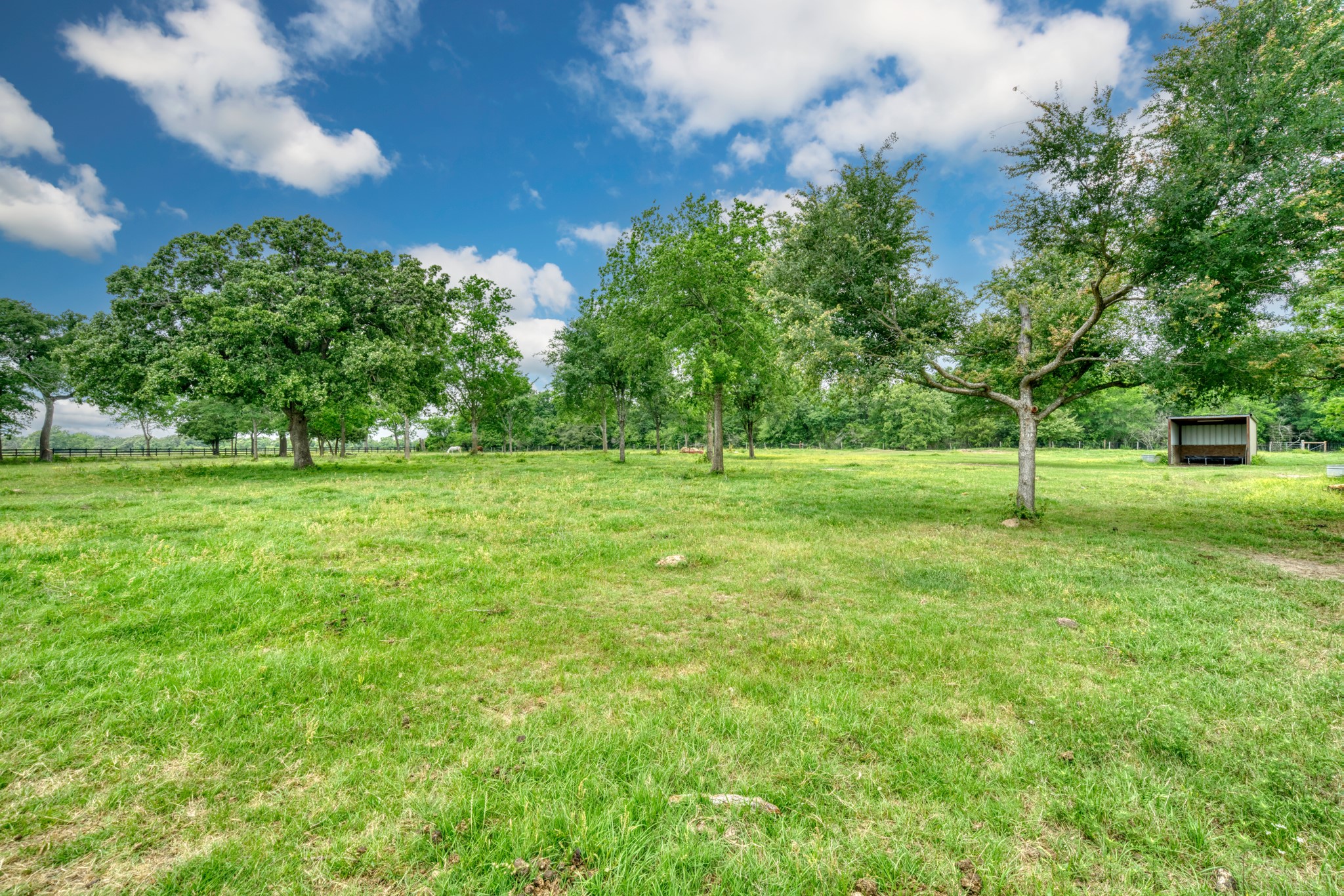 2266 Dutton Lane Madisonville, TX 77864 - Photo 37 of 50 a garden with trees in the background