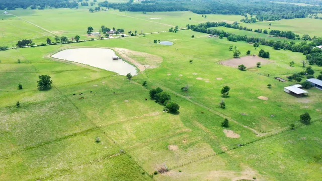 a view of a garden with an outdoor space
