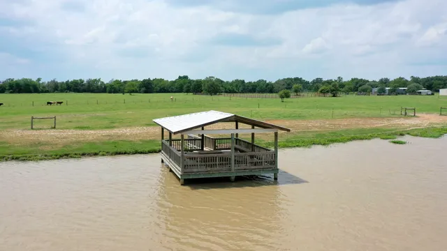 an outdoor view of a lake with green space