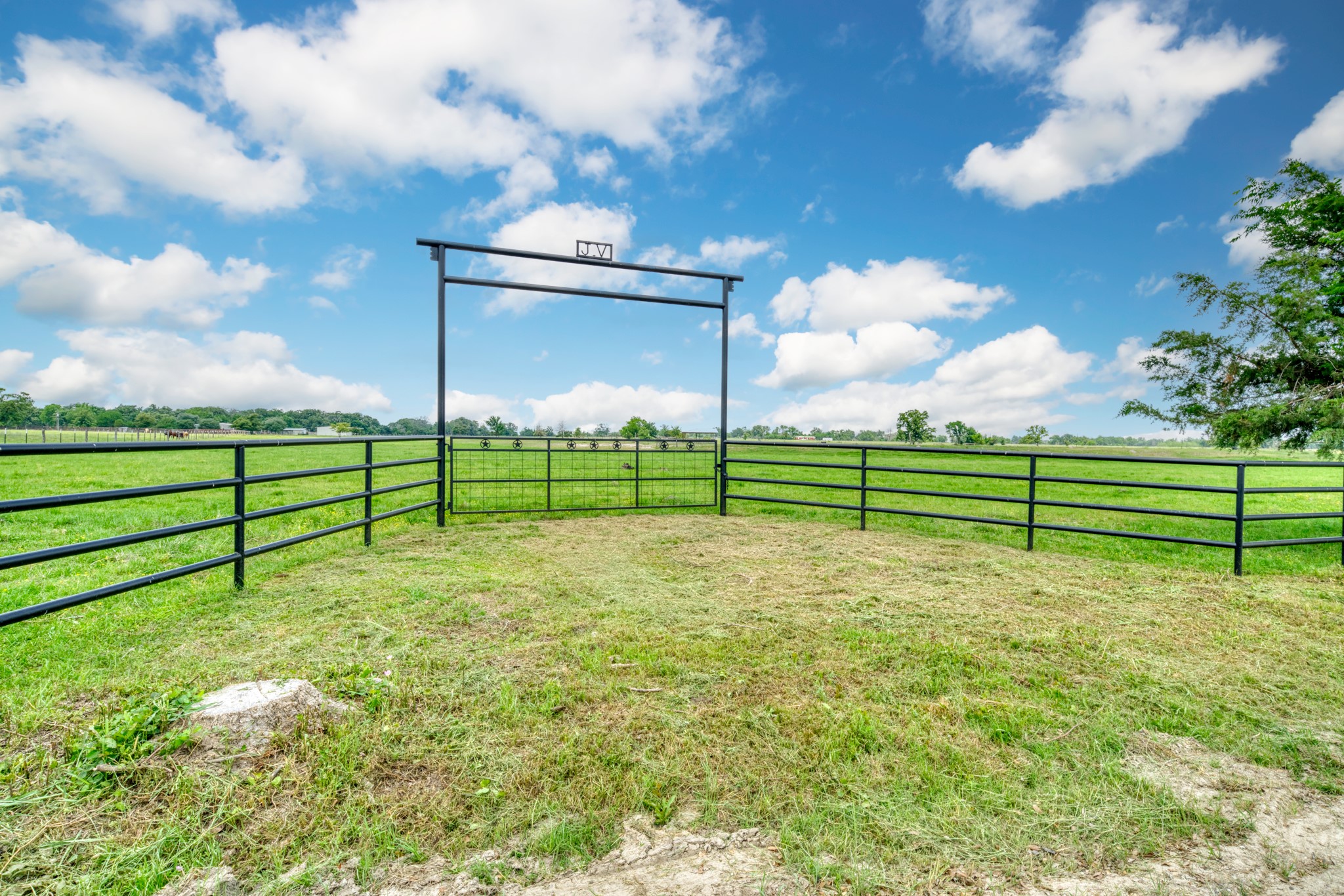 2266 Dutton Lane Madisonville, TX 77864 - Photo 46 of 50 a view of a park with large trees