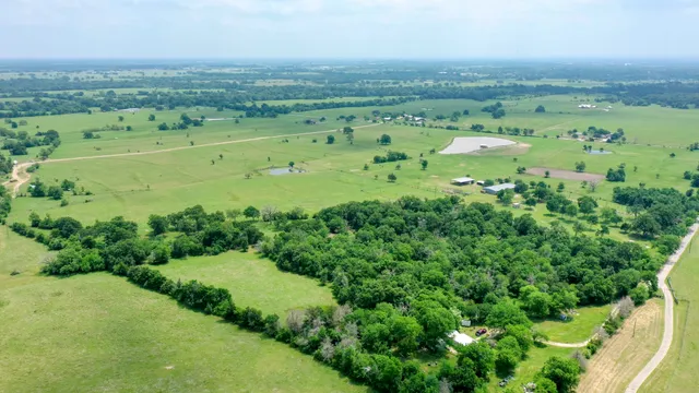 a view of a green field with lots of bushes