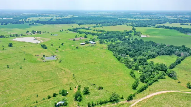 a view of a lush green space