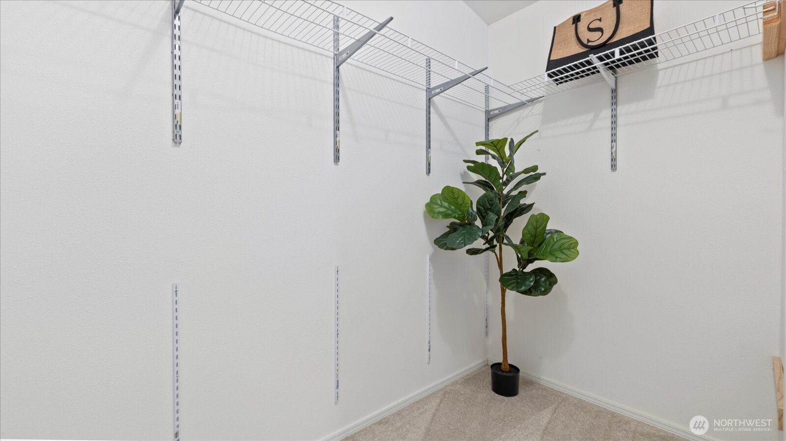 23825 15th Avenue Southeast, Unit 1 Bothell, WA 98021 - Photo 20 of 25 a view of a glass door with a plant