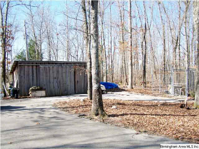 2520 Charlie Penny Road Piedmont, AL 36272 - Photo 4 of 32