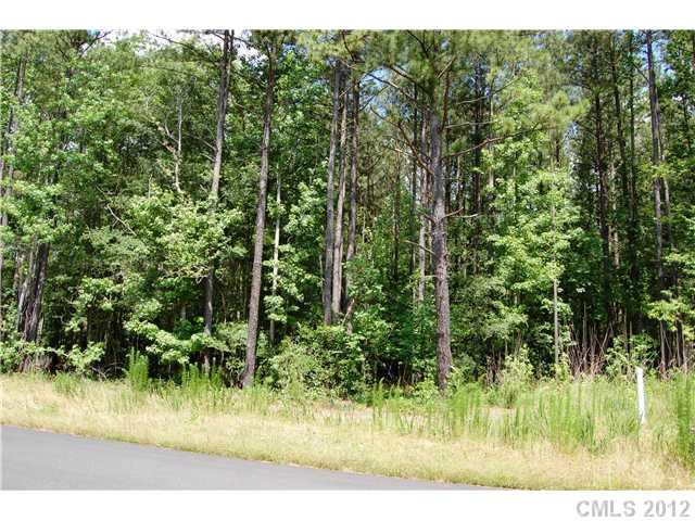 24 Morrison Road, Unit 24 York, SC 29745 - Photo 1 of 4 Gallery Image 1