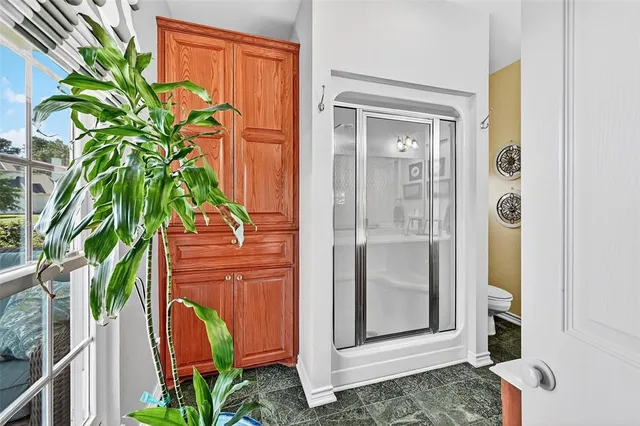 a potted plant in front of a glass door