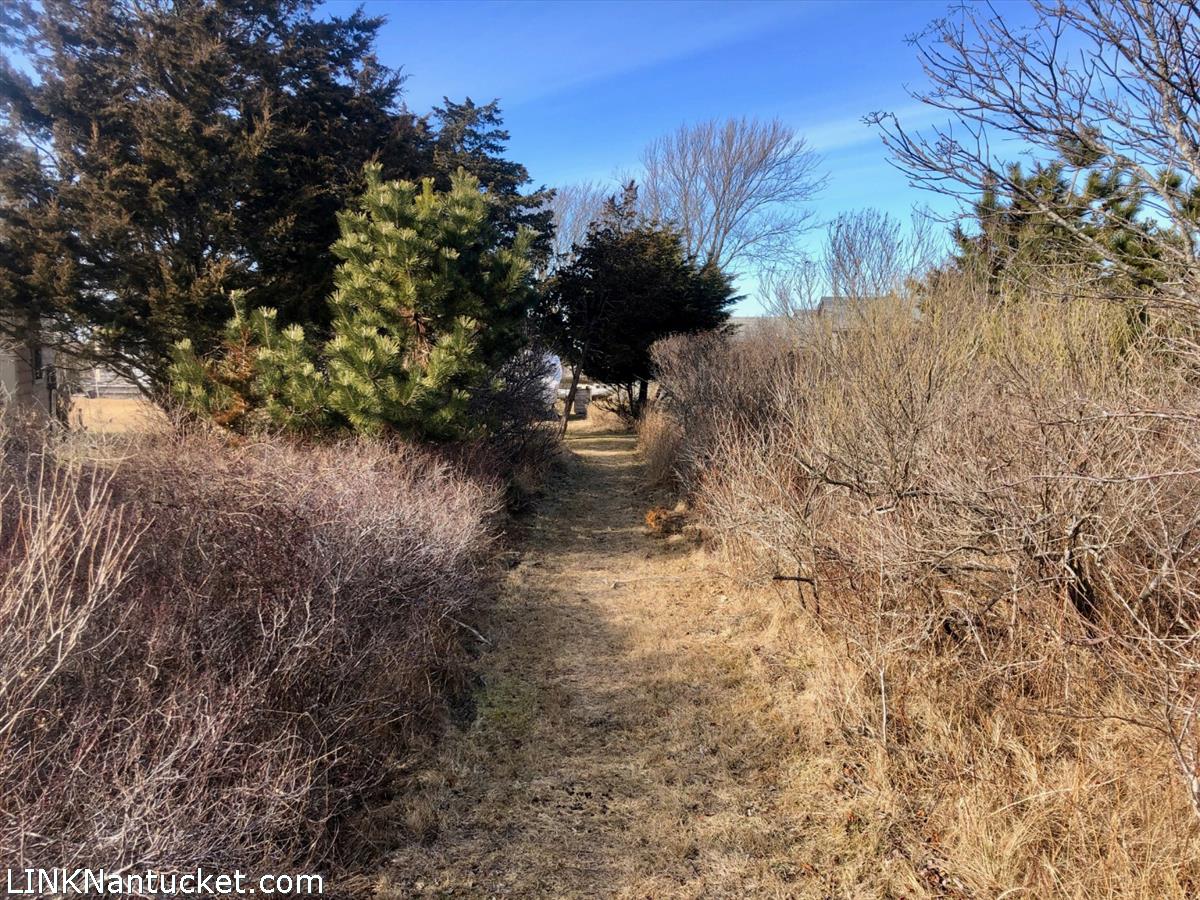 8 M Street Nantucket, MA 02554 - Photo 16 of 20 a view of a backyard of the house