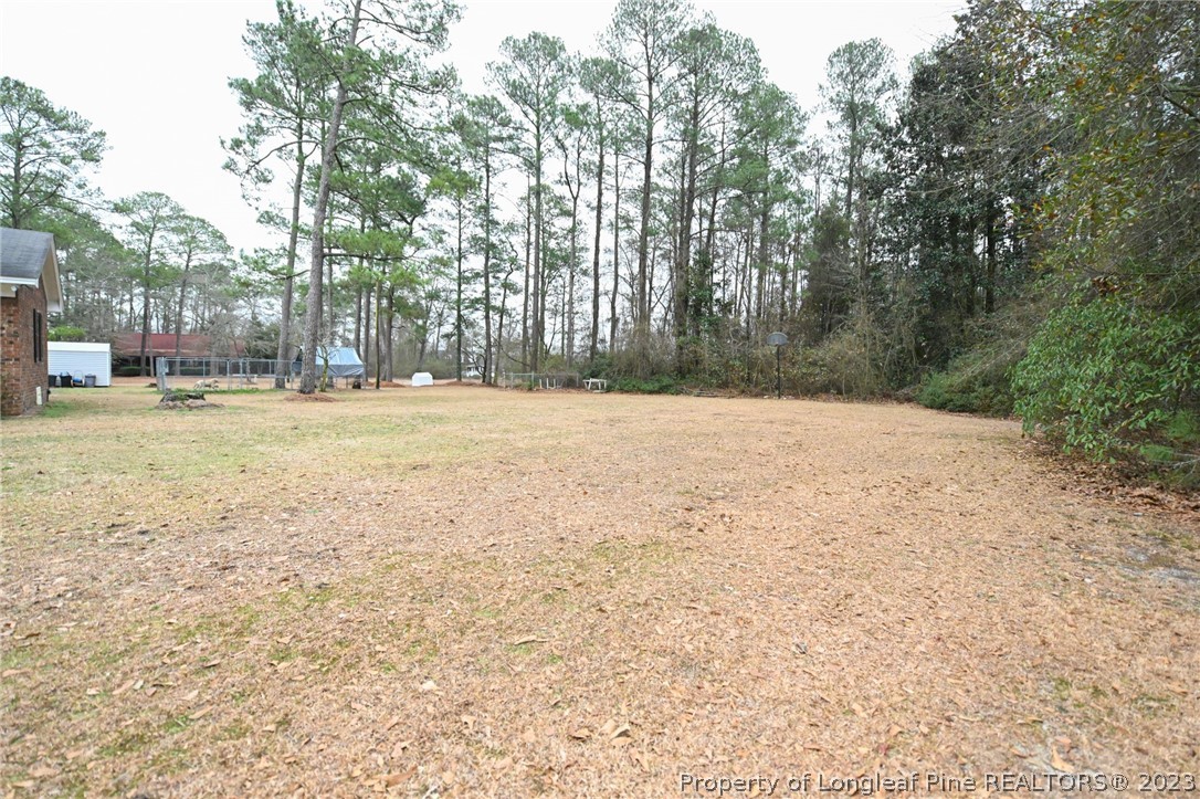 811 Butler Island Road Roseboro, NC 28382 - Photo 41 of 43