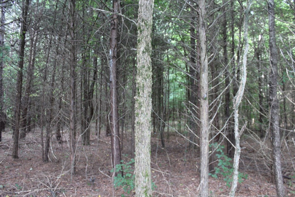 Cooks Road, Unit 5 Farmville, VA 23901 - Photo 4 of 6 Gallery Image 4