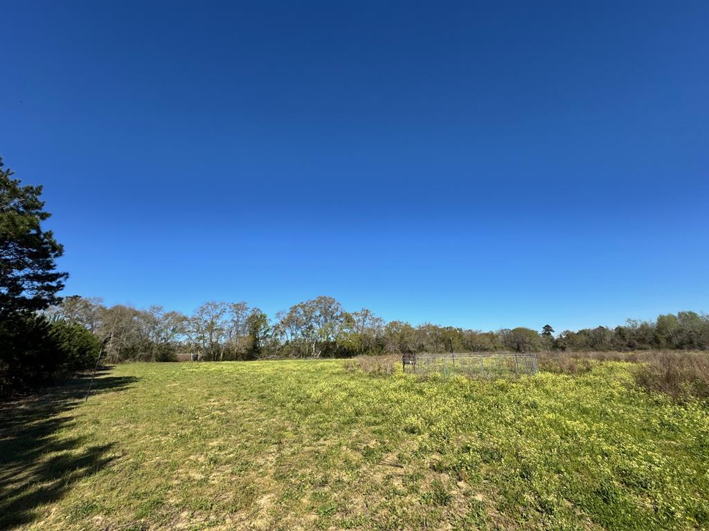 0 Macedonia Ch Road Columbia, AL 36319 - Photo 27 of 61